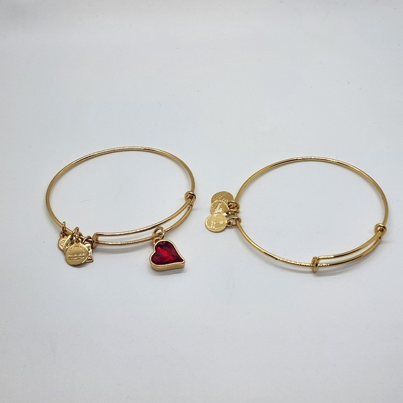 Alexa & Ani Gold Spacer & Heart Of Strentgh Bracelet - Picture 10 of 10